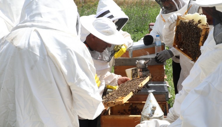 Arıköy'de kayıtlar başlıyor