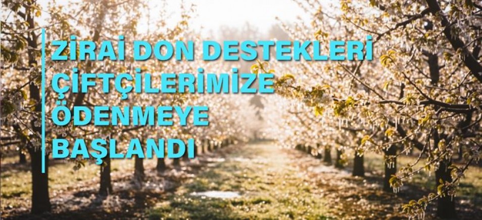 Eskişehir'de Zirai Don Destek Ödemeleri Yapılmaya Başladı