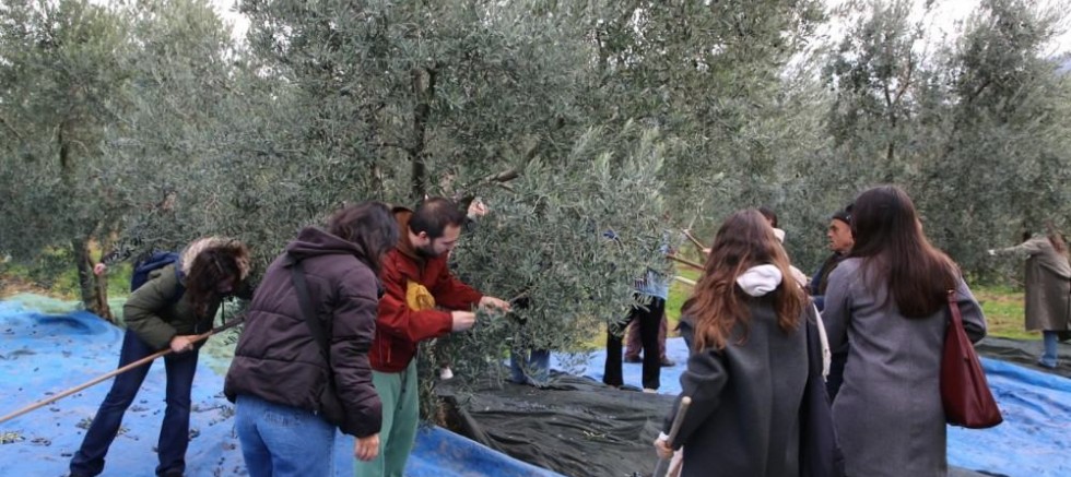 GENÇLER ZEYTİNİN YOLCULUĞUNA TANIKLIK ETTİ