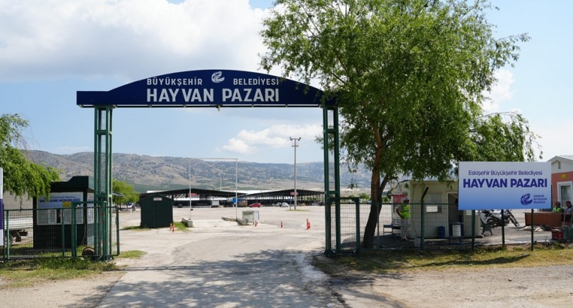 Hayvan pazarının kapıları 11 Mayıs'ta kurban satışlarına açılacak