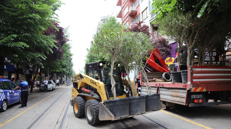İsmet İnönü Caddesi zakkum ağaçları ile başka güzel