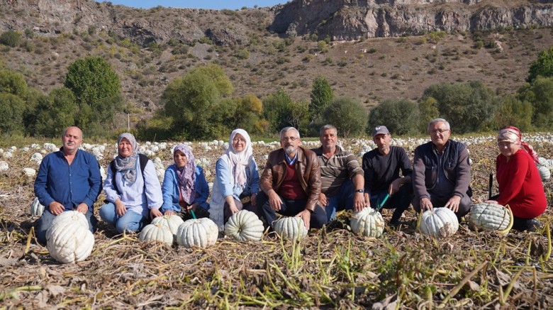 Kızılinler balkabağı 25 Ekim'de vatandaşla buluşacak