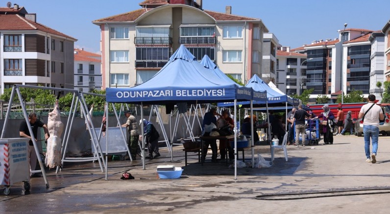 Odunpazarı Belediyesinin ücretsiz kesim alanında rakamlar yarı yarıya düştü