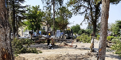 AK Parti'den sert tepki: Ağaçlara yazık değil mi?
