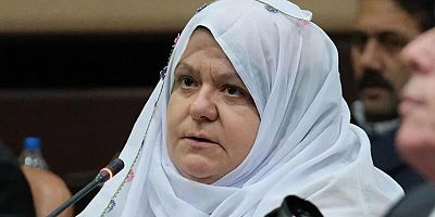 Akgün: Yatırım tutarı artmış olabilir, kırsala ve gerçek projelere ayrılan pay sembolik