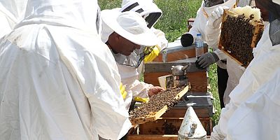 Arıköy'de kayıtlar başlıyor