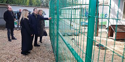 Başkan Ataç, Doğal Yaşam Merkezinde incelemelerde bulundu