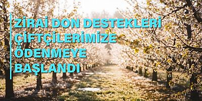 Eskişehir'de Zirai Don Destek Ödemeleri Yapılmaya Başladı