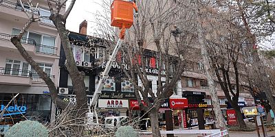 Hamamyolu'nda ağaçlar budanıyor