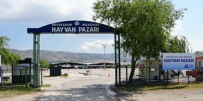 Hayvan pazarının kapıları 11 Mayıs'ta kurban satışlarına açılacak