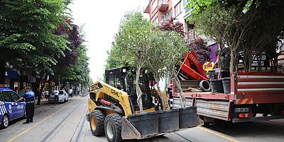 İsmet İnönü Caddesi zakkum ağaçları ile başka güzel