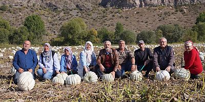 Kızılinler balkabağı 25 Ekim'de vatandaşla buluşacak