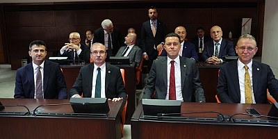 Nebi Hatipoğlu bir algıyı daha kırdı: 101 milyon olan zeytin ağacı sayısını 205 milyona çıkardık