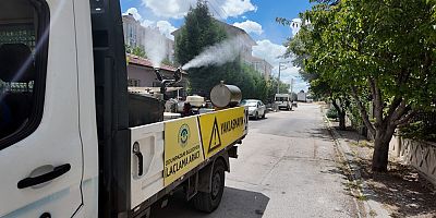 Odunpazarı Belediyesi ilaçlama çalışmaları aralıksız devam ediyor