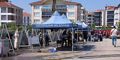 Odunpazarı Belediyesinin ücretsiz kesim alanında rakamlar yarı yarıya düştü